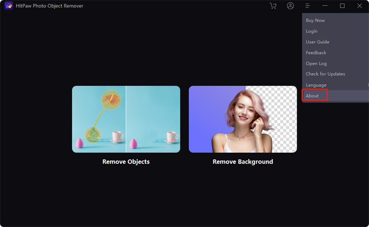 check information in HitPaw photo object remover