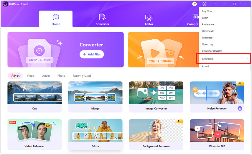 hitpaw univd supported languages