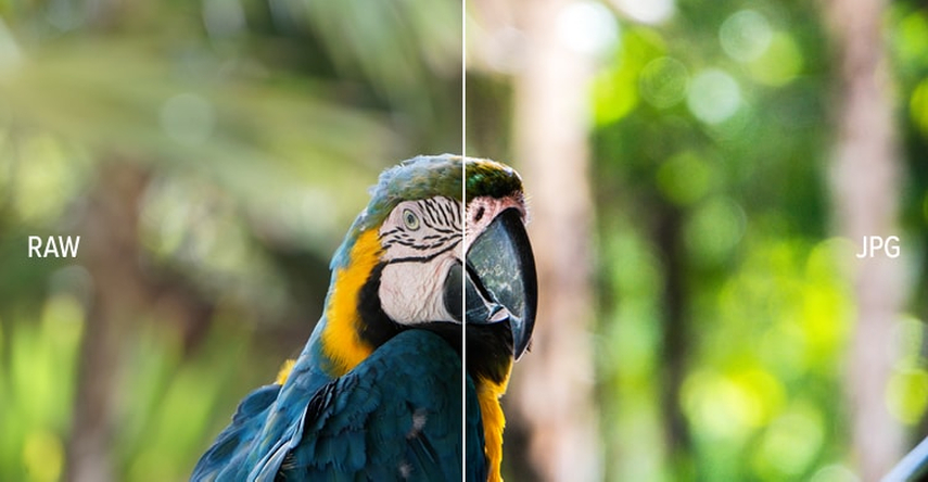 jpeg photos are universally compatible