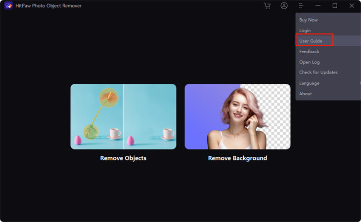 check user guide in HitPaw photo object remover