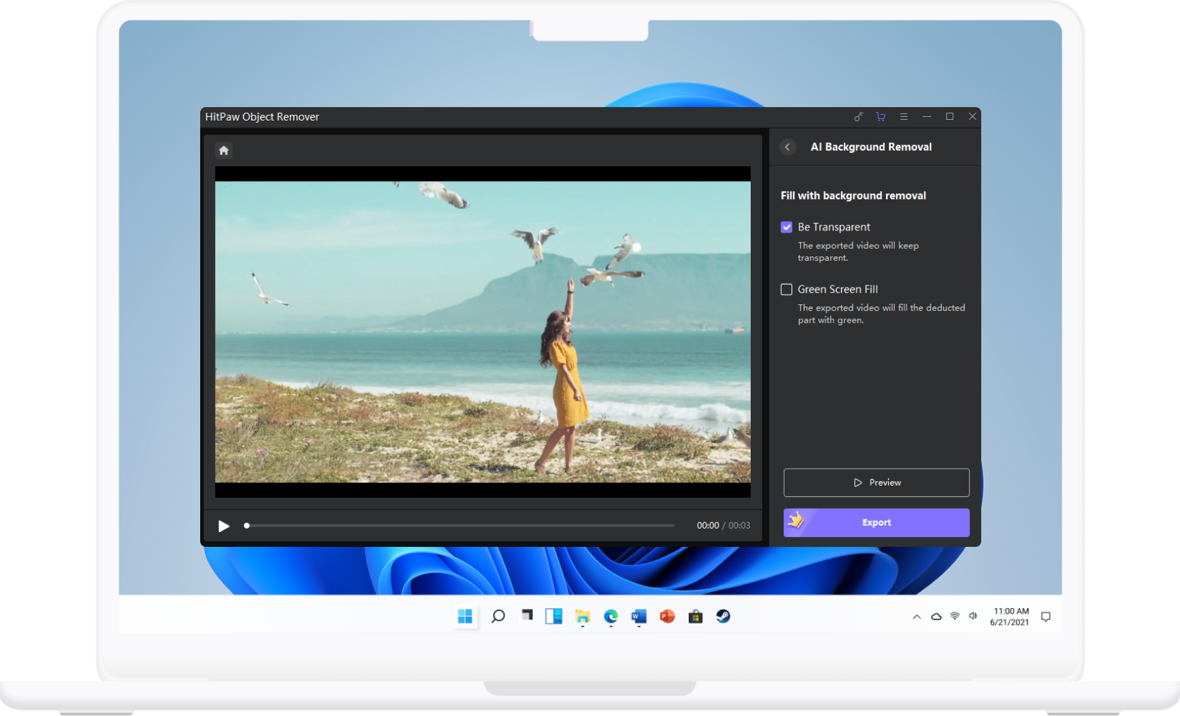 choose HitPaw Video Object Remover